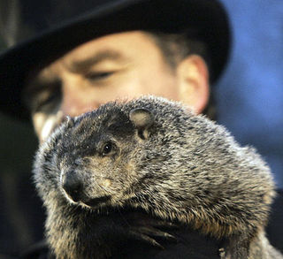 Groundhog