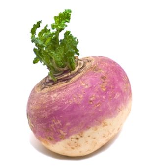 Pic_turnip